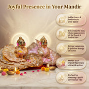 Radha Rani & Laddu Gopal Premium Beige & Pink Silk Poshak- (5