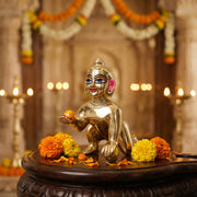 Laddu Gopal Idol Brass Premium - 7 Inch