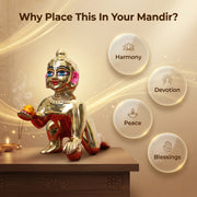 Laddu Gopal Idol Brass Premium - 7 Inch