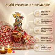 Laddu Gopal Silk Poshak – Premium Design-4 (5
