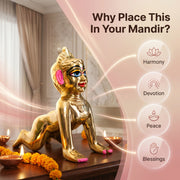 Radha Rani Idol Brass Premium - 5 inch